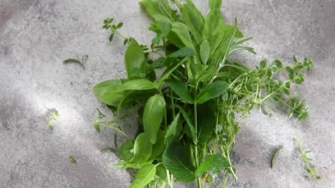 Fresh aromatic garden herbs rotating slowly Stock Footage 340193945