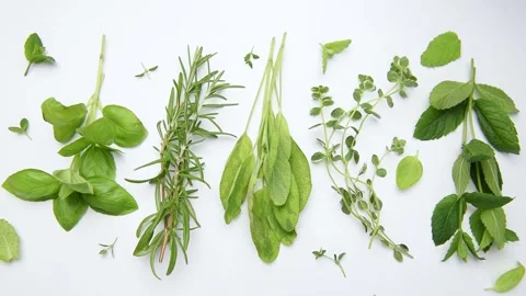 Fresh aromatic herbs assortment on white background Stock Footage 340980286