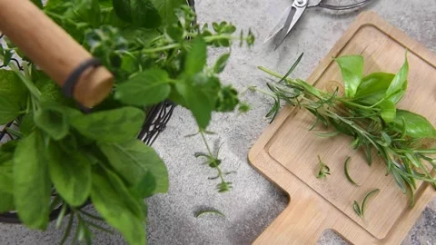 Fresh aromatic herbs falling on a kitchen counter Stock Footage 340340726
