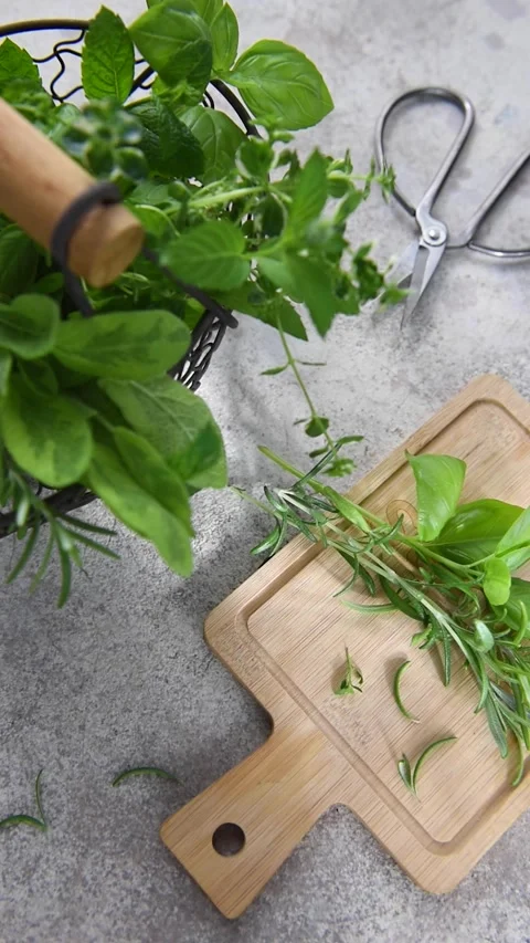 Fresh aromatic herbs falling on a kitchen counter Stock Footage 340615802
