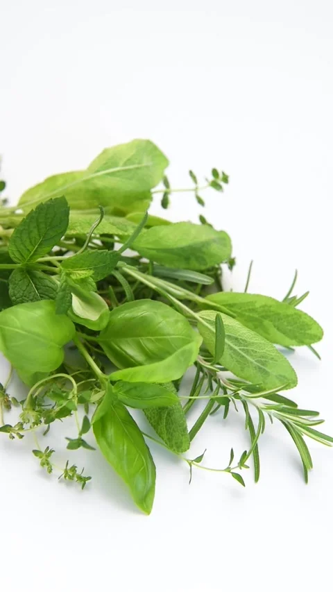 Fresh aromatic herbs rotating on white background Stock Footage 340405171