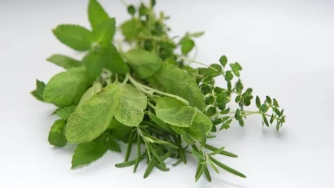 Fresh aromatic herbs rotating on white background Stock Footage 340980084