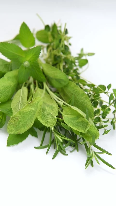 Fresh aromatic herbs rotating on white background Stock Footage 341319474