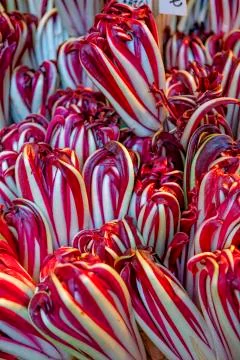 Fresh artichoke Foto stock