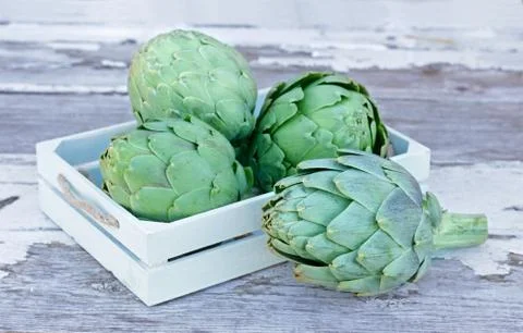 Fresh artichoke Stock Photos