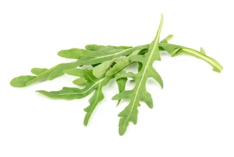 Fresh arugula isolated Stock Photos