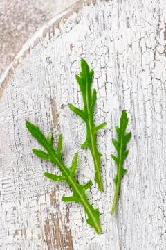 Fresh arugula leaves on light table Stock Photos