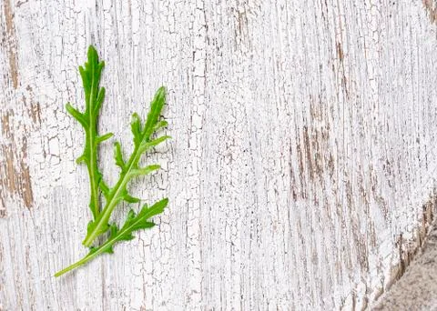 Fresh arugula leaves on light table Stock Photos
