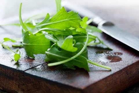 Fresh arugula Stock Photos