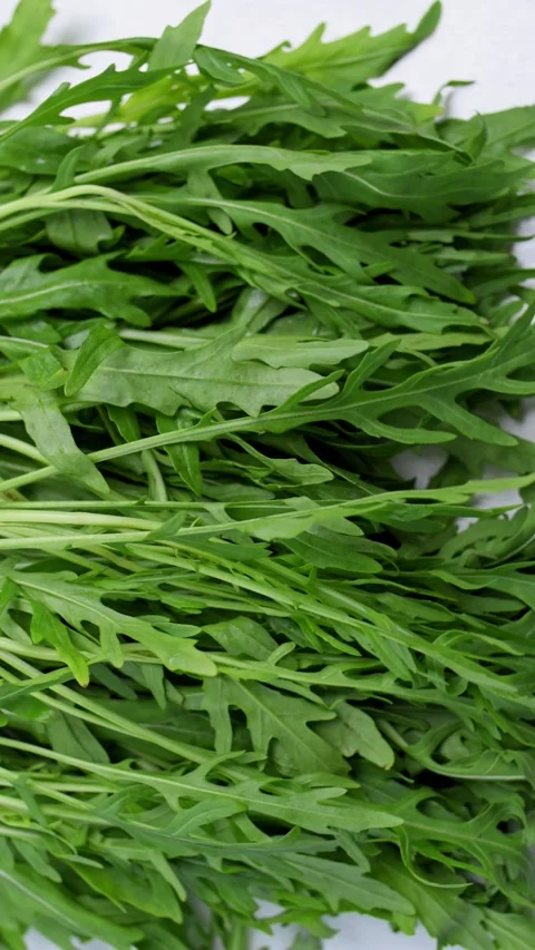 Fresh arugula viewed from above displays crisp green leaves on white podium. 4k. Stock Footage 340323502