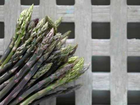 Fresh asparagus Stock Photos