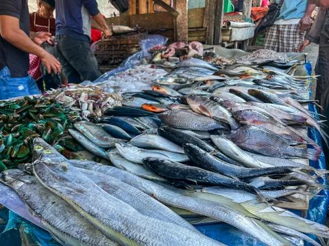 Fresh Assorted Fish and Shellfish for Sale at Traditional Market Stock Photos