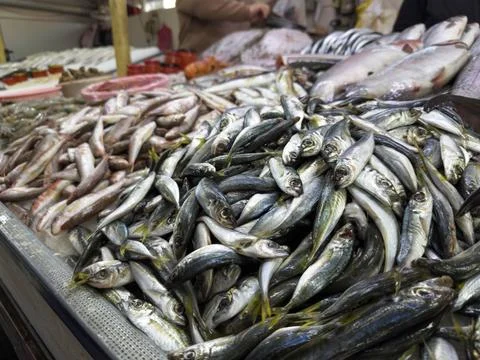 Fresh assorted fish displayed on ice at a busy market stall. Variety of spe.. Stock Photos