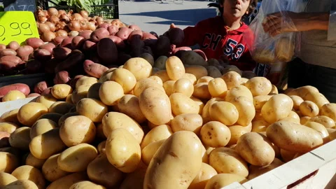 Fresh assorted fruits and vegetables in organic market Stock Footage 140590884