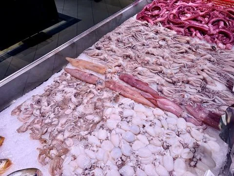 Fresh Assorted Squid and Octopus Display at Seafood Market 스톡 사진