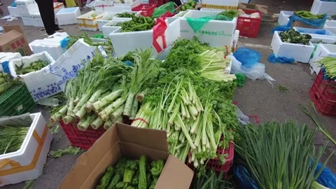 Fresh assorted vegetables sold at suburban morning wet market in Shanghai China Stock Footage 338153630