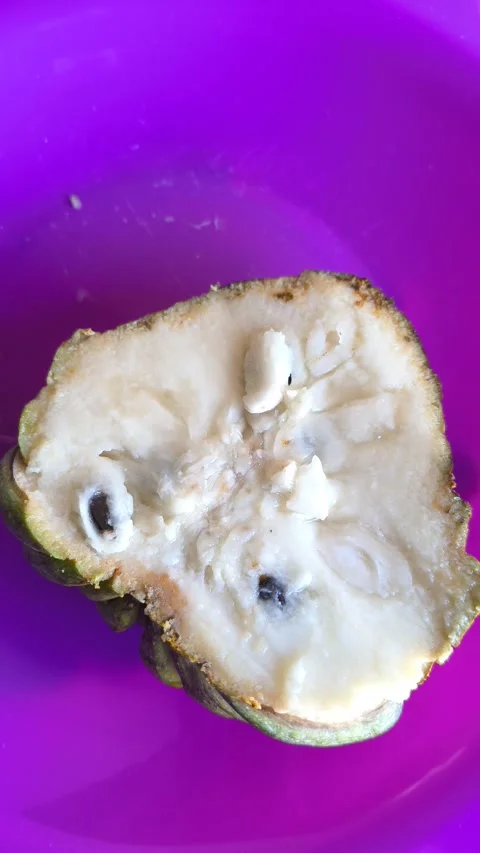 Fresh Atemoya Fruit Cut in Half on Vibrant Purple Plate. Stock Footage 335536156
