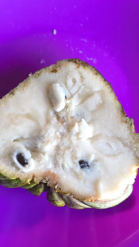 Fresh Atemoya Fruit Cut in Half on Vibrant Purple Plate Stock Footage 335536161