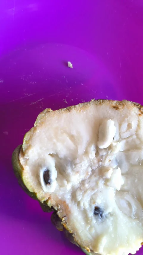 Fresh Atemoya Fruit Cut in Half on Vibrant Purple Plate Stock Footage 335536165