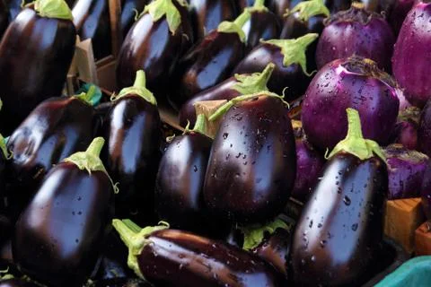 Fresh aubergines Stock Photos