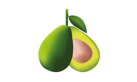 Fresh avocado and cut vector and illustration Stock Illustration
