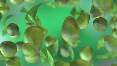 Fresh Avocado fruit loop-able background in slow motion 4K Video stock 153087213