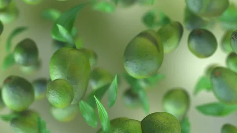 Fresh Avocado fruit loop-able background in slow motion 4K Stock Footage 153100069