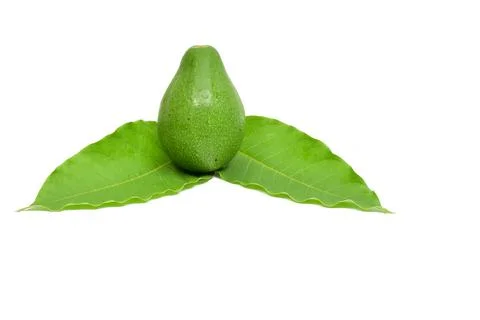 Fresh avocado fruit on white background Stock Photos