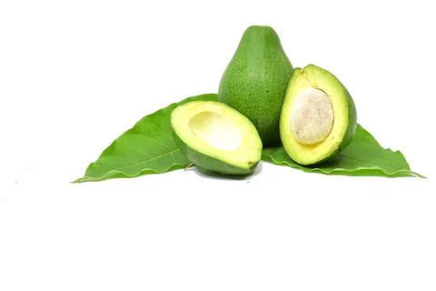 Fresh avocado fruit on white background Stock Photos