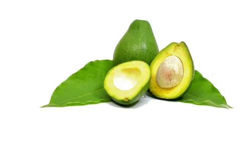 Fresh avocado fruit on white background Stock Photos
