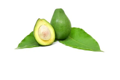 Fresh avocado fruit on white background Stock Photos