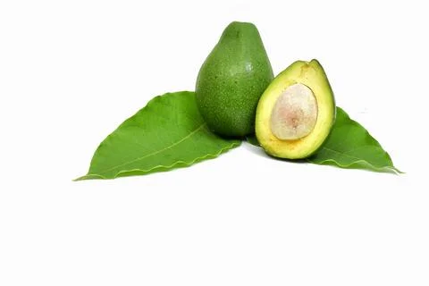 Fresh avocado fruit on white background Stock Photos