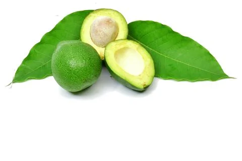 Fresh avocado fruit on white background Stock Photos