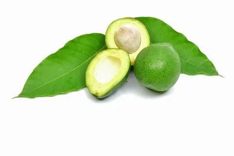 Fresh avocado fruit on white background Stock Photos