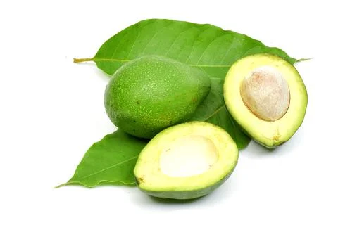 Fresh avocado fruit on white background Stock Photos
