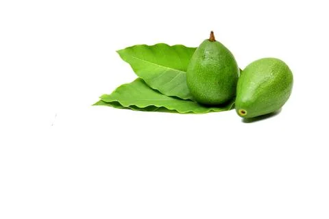 Fresh avocado fruit on white background Stock Photos