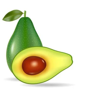 Fresh avocado isolated on white background Stock Illustration