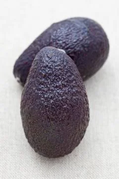 Fresh avocado Stock Photos