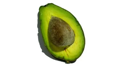 Fresh avocado Stock Photos