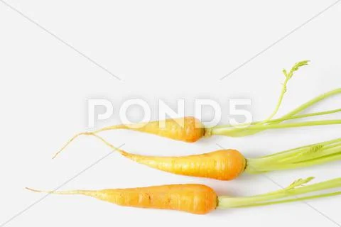Fresh baby carrots Stock Photos