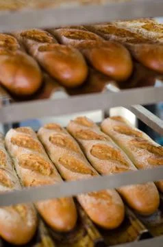 Fresh baked baguettes cooling on racks in the bakery Stock Photos
