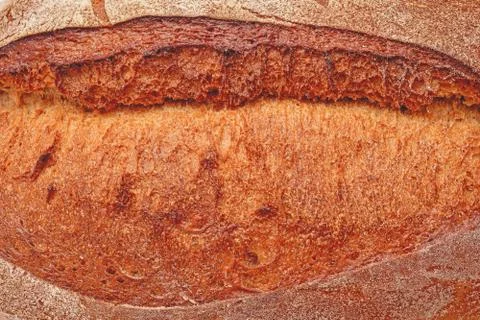 Fresh baked bread crust Stock Photos