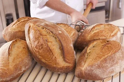 Fresh baked bread Stock Photos