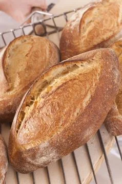 Fresh baked bread Stock Photos