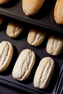 Fresh baked buns Stock Photos