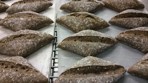 Fresh baked rye meal buns, at a bakery restaurant Stock Footage 59198947