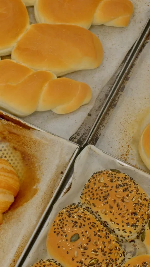 Fresh bakery trays showing assorted golden rolls and seeded buns in vertical Vídeos de archivo 344571419