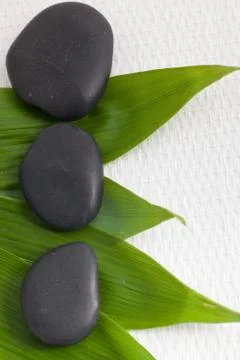 Fresh bamboo leaves with basalt massage stones Stock Photos