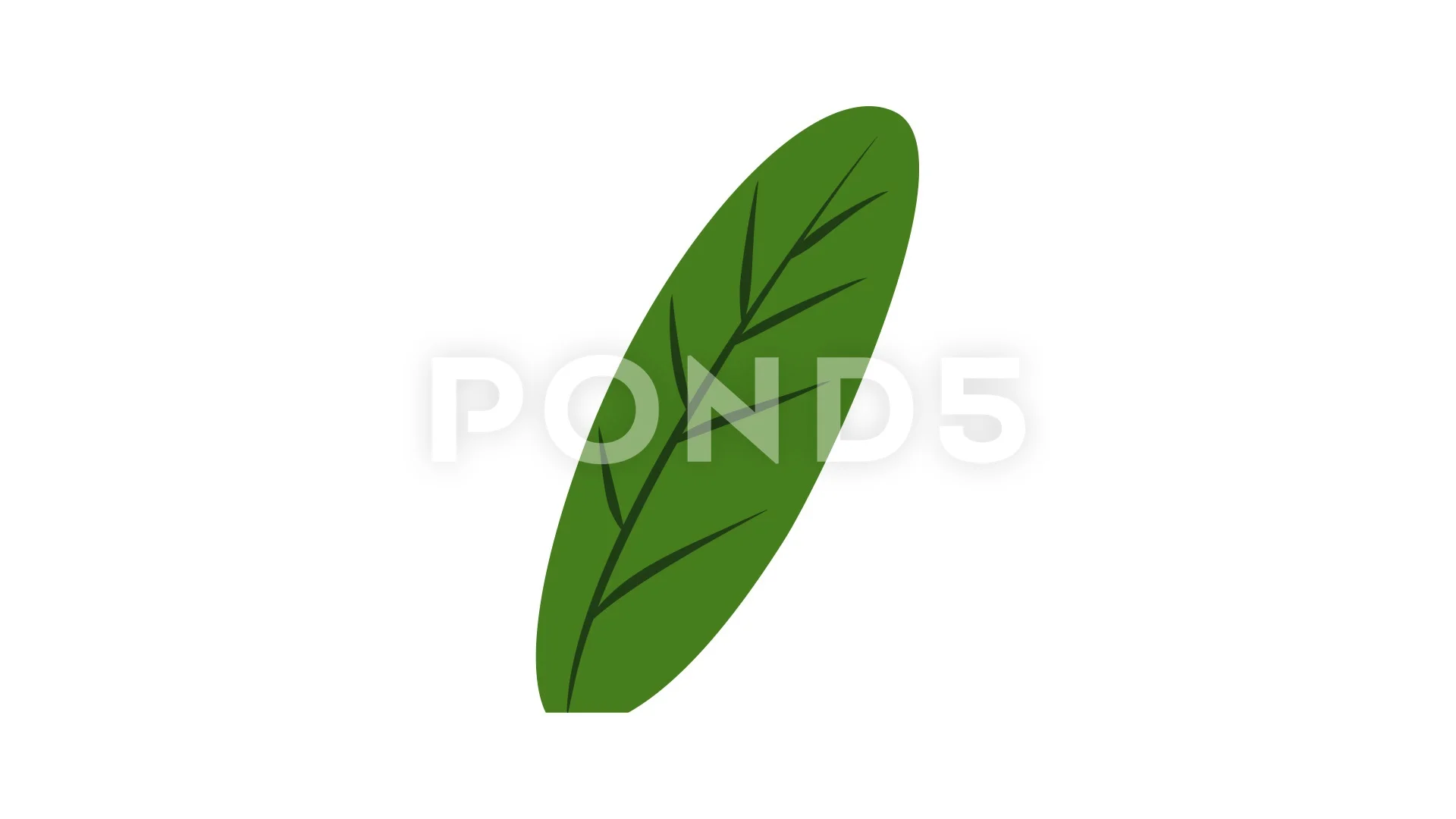 Fresh banana leaf icon animation | Stock Video | Pond5