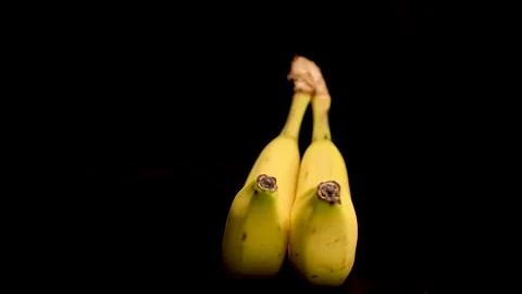 Fresh Bananas in Black Background Stock Footage 230670093